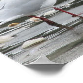 Seagull am Strand Poster (Ecke)