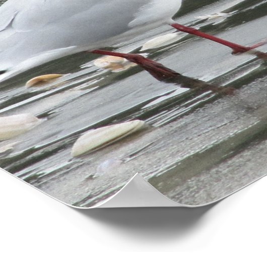 Seagull am Strand Poster (Ecke)