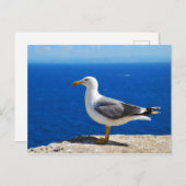 Seagull am Strand Postkarte (Vorne/Hinten)