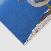 Seagull am Strand Seidenpapier (Ausschnitt)