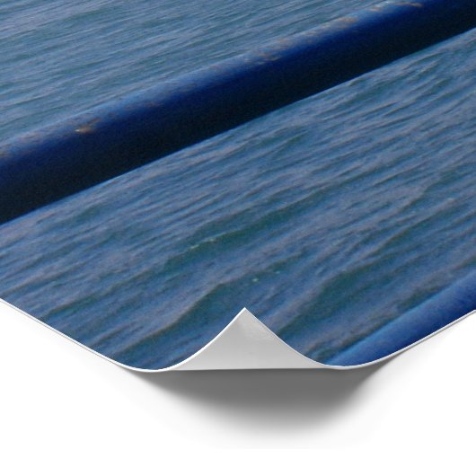 Seagull am Strand von Santa Monica Poster (Ecke)