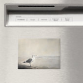 Seagull am Ufer Magnet (In Situ (Geschirrspüler))