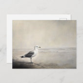 Seagull am Ufer Postkarte (Vorne/Hinten)