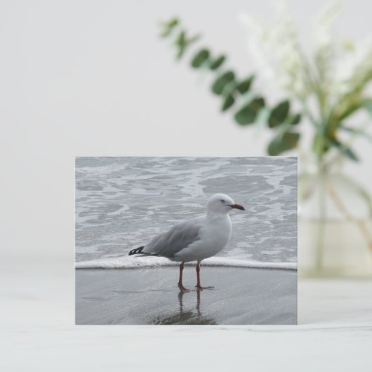 Seagull am Wasser Postkarte (Stehend Vorderseite)