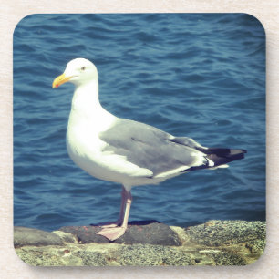 Seagull an der Bucht Getränkeuntersetzer