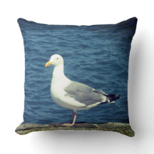 Seagull an der Bucht