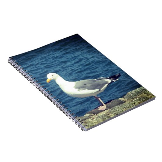 Seagull an der Bucht Notizblock (Rechte Seite)