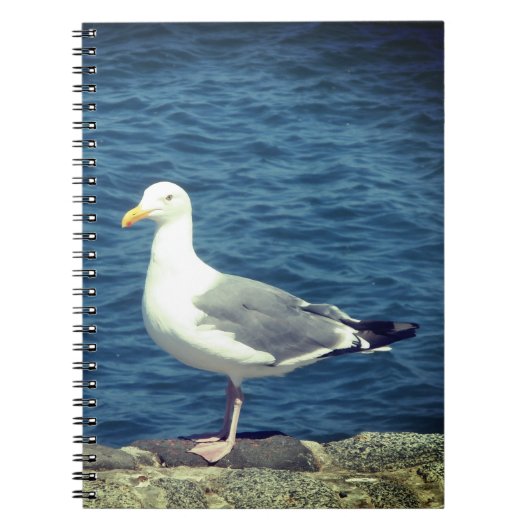 Seagull an der Bucht Notizblock (Vorderseite)