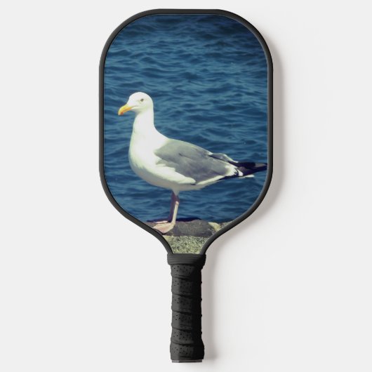 Seagull an der Bucht Pickleball Schläger (Vorderseite)