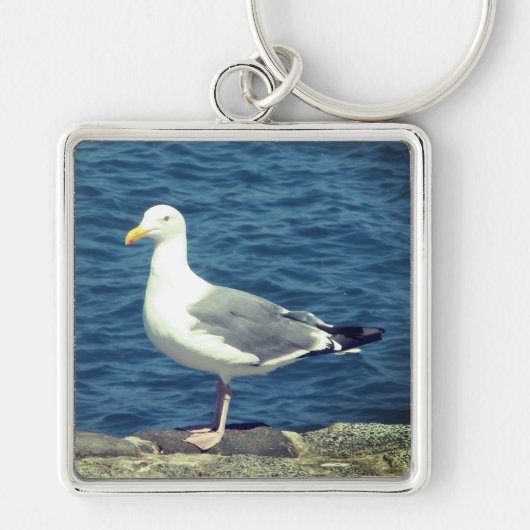 Seagull an der Bucht Schlüsselanhänger (Vorne)