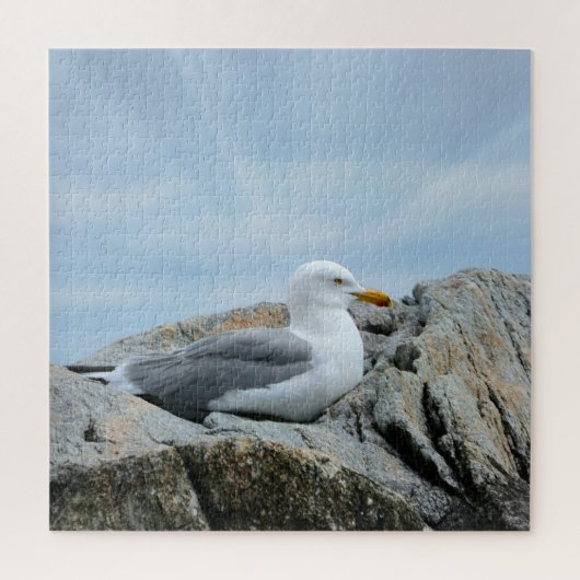 Seagull an der Küste Puzzle (Vertikal)