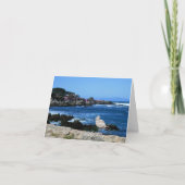 Seagull an der Pazifikküste, unbedruckte Karte (Vorderseite)