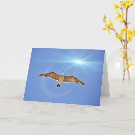 Seagull and Sun Scripture Card John 8:36 Karte (Gelbe Blume)