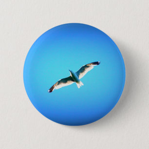 Seagull auf blauem Knopf Button