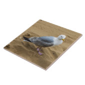 Seagull auf dem Strand Keramik Fliesen (Seite)