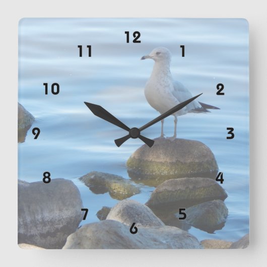 Seagull auf den Felsen Quadratische Wanduhr (Vorderseite)