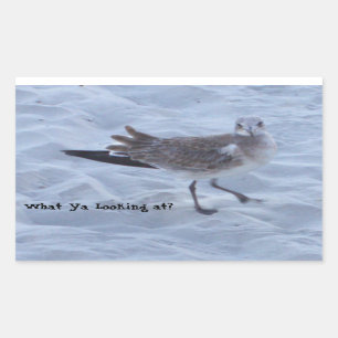 Seagull auf den Strandklebern Rechteckiger Aufkleber