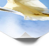 Seagull auf der Beach Bird Fotografie (Ecke)