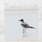 Seagull auf der Beach Classic Weinetikett (Einzelnes Label)