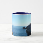 Seagull auf der Insel Anacapa auf den Kanalinseln Tasse (Zentrum)