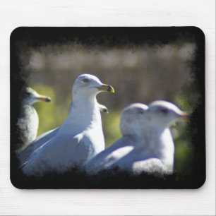 Seagull auf der Schiene Mousepad