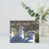 Seagull auf der Schiene Postkarte (Stehend Vorderseite)