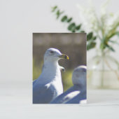 Seagull auf der Schiene Postkarte (Stehend Vorderseite)