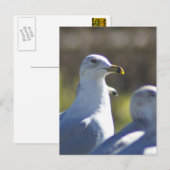Seagull auf der Schiene Postkarte (Vorne/Hinten)