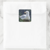 Seagull auf der Zaunpost Quadratischer Aufkleber (Tasche)