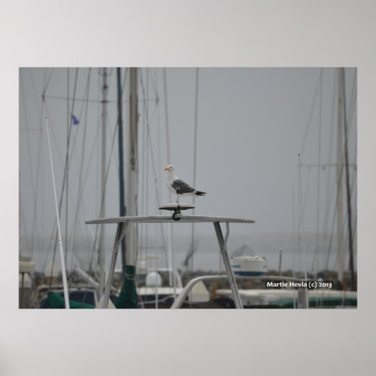 Seagull auf einem Boot Poster (Vorne)