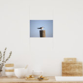 Seagull auf einem Postposter Poster (Küche)