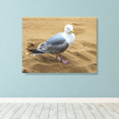 Seagull auf einem sandigen Leinwand drucksvoll (Insitu (Holzboden))