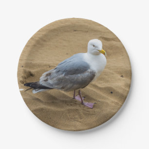 Seagull auf einer Strandpapierplatte Pappteller