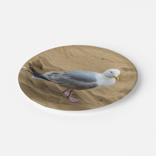 Seagull auf einer Strandpapierplatte Pappteller (Schrägansicht)