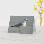 Seagull auf Eis Karte (Gelbe Blume)
