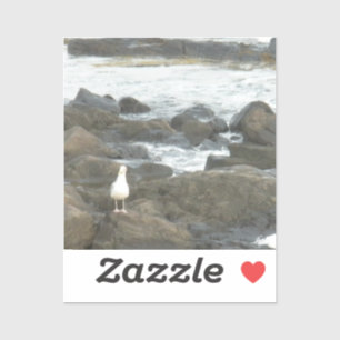 Seagull auf Felsen Aufkleber