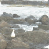 Seagull auf Felsen Aufkleber (Vorderseite)