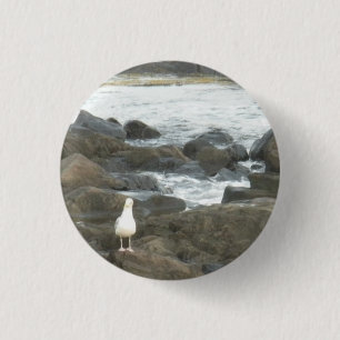 Seagull auf Felsen Button
