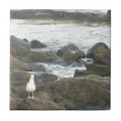 Seagull auf Felsen Fliese (Vorderseite)