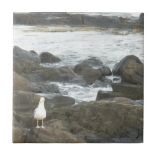 Seagull auf Felsen Fliese