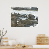 Seagull auf Felsen Poster (Küche)