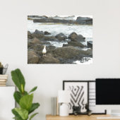 Seagull auf Felsen Poster (Heimbüro)