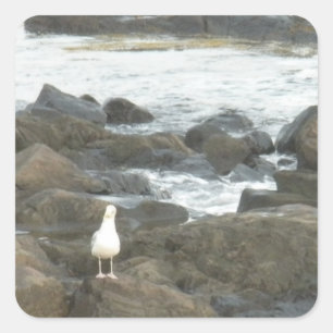 Seagull auf Felsen Quadratischer Aufkleber
