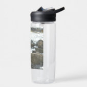 Seagull auf Felsen Trinkflasche (Links)