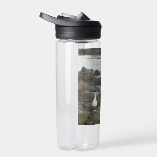 Seagull auf Felsen Trinkflasche (Rechts)
