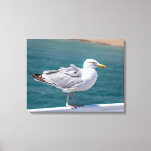 Seagull auf Geländer Ansicht Leinwand drucken