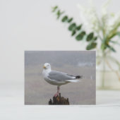 Seagull auf Post beim Schnee Postkarte (Stehend Vorderseite)