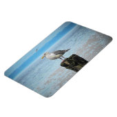 Seagull auf Puget Sound Magnet (Linke Seite)