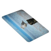 Seagull auf Puget Sound Magnet (Rechte Seite)