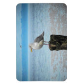 Seagull auf Puget Sound Magnet (Vertikal)